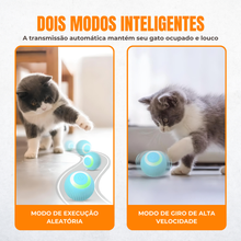 Carregar imagem no visualizador da galeria, Bola de brincar interactiva para gatos
